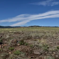 Table Mountain - Golden