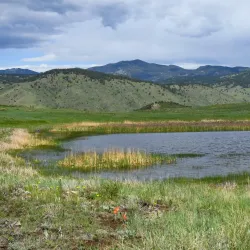 Table Mountain - Golden