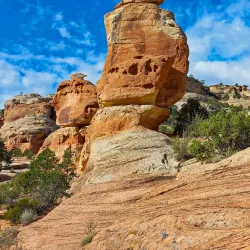 Colorado National Monument - Grand Junction