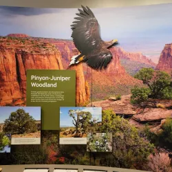 Colorado National Monument - Grand Junction