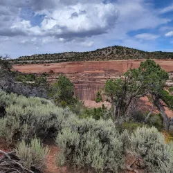 Colorado National Monument - Grand Junction