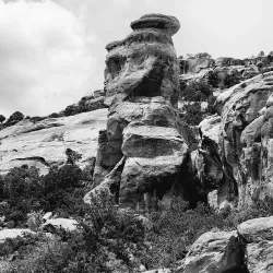 Colorado National Monument - Grand Junction