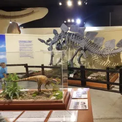 Fruita Dinosaur Journey Museum - Grand Junction