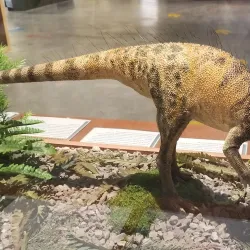 Fruita Dinosaur Journey Museum - Grand Junction