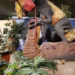 Fruita Dinosaur Journey Museum - Grand Junction
