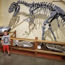 Fruita Dinosaur Journey Museum - Grand Junction