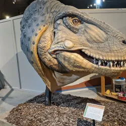 Fruita Dinosaur Journey Museum - Grand Junction