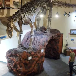 Fruita Dinosaur Journey Museum - Grand Junction
