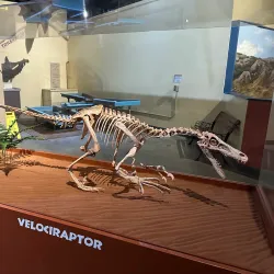Fruita Dinosaur Journey Museum - Grand Junction