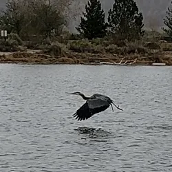 James M. Robb – Colorado River State Park - Grand Junction
