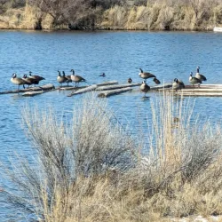 James M. Robb – Colorado River State Park - Grand Junction