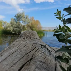 James M. Robb – Colorado River State Park - Grand Junction