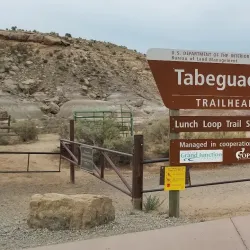 Lunch Loop Trail System - Grand Junction