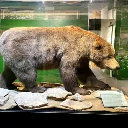 Museum of the West - Grand Junction