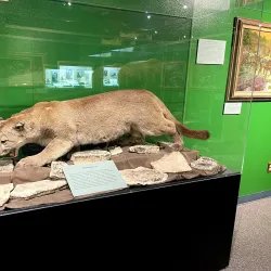 Museum of the West - Grand Junction