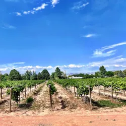 Two Rivers Winery & Chateau - Grand Junction