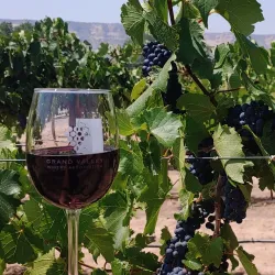 Two Rivers Winery & Chateau - Grand Junction