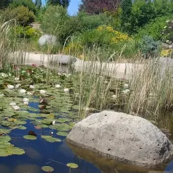 Western Colorado Botanical Gardens - Grand Junction