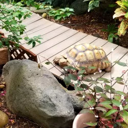 Western Colorado Botanical Gardens - Grand Junction