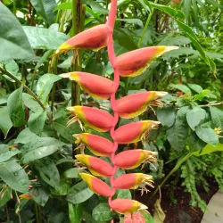 Western Colorado Botanical Gardens - Grand Junction