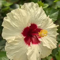 Western Colorado Botanical Gardens - Grand Junction