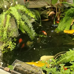 Western Colorado Botanical Gardens - Grand Junction