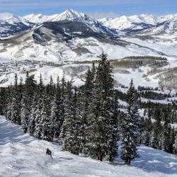 Crested Butte Mountain Resort - Gunnison