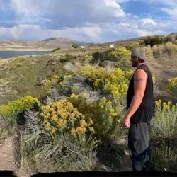 Downtown Gunnison - Gunnison