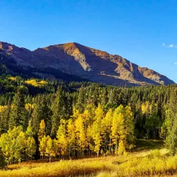Gunnison National Forest - Gunnison