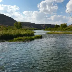 Gunnison River - Gunnison