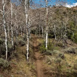 Hartman Rocks Recreation Area - Gunnison