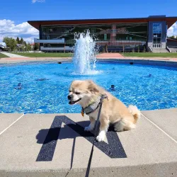 Western Colorado University - Gunnison