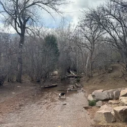 Bear Creek Dog Park - Highlands Ranch