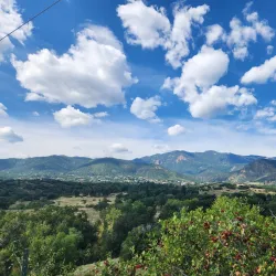 Bear Creek Dog Park - Highlands Ranch