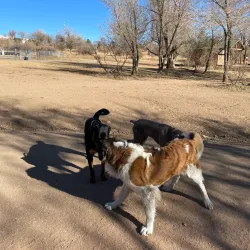 Bear Creek Dog Park - Highlands Ranch