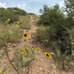 Bear Creek Dog Park - Highlands Ranch