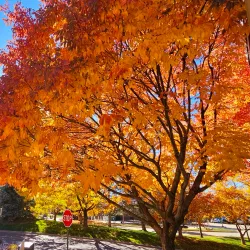 Highlands Ranch Community Association Recreation Centers - Highlands Ranch