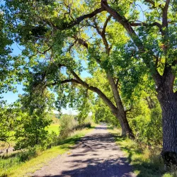 Highlands Ranch Golf Club - Highlands Ranch