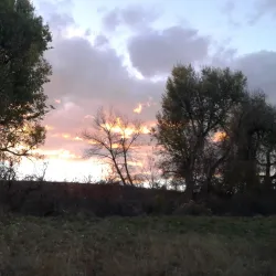 Highlands Ranch Golf Club - Highlands Ranch