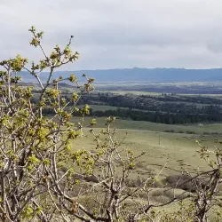 Highlands Ranch Trail System - Highlands Ranch