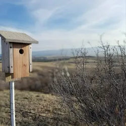 Highlands Ranch Trail System - Highlands Ranch