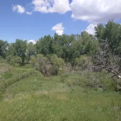 Coal Creek Trail - Lafayette
