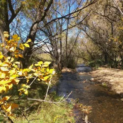 Coal Creek Trail - Lafayette