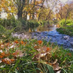 Coal Creek Trail - Lafayette