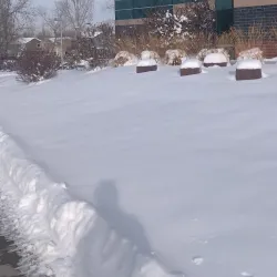 Lafayette Public Library - Lafayette