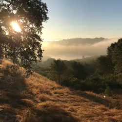 Lafayette Reservoir - Lafayette
