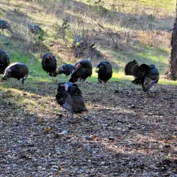 Lafayette Reservoir - Lafayette