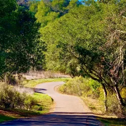 Lafayette Reservoir - Lafayette