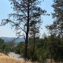 Lafayette Reservoir - Lafayette