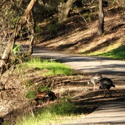 Lafayette Reservoir - Lafayette
